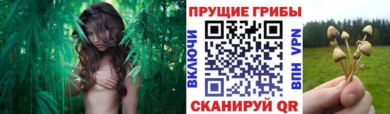 Галлюциногенные грибы MAGIC MUSHROOMS  omg маркетплейс  Оханск  что такое наркотик 